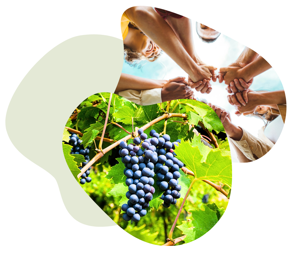 expert-comptable à Brignoles