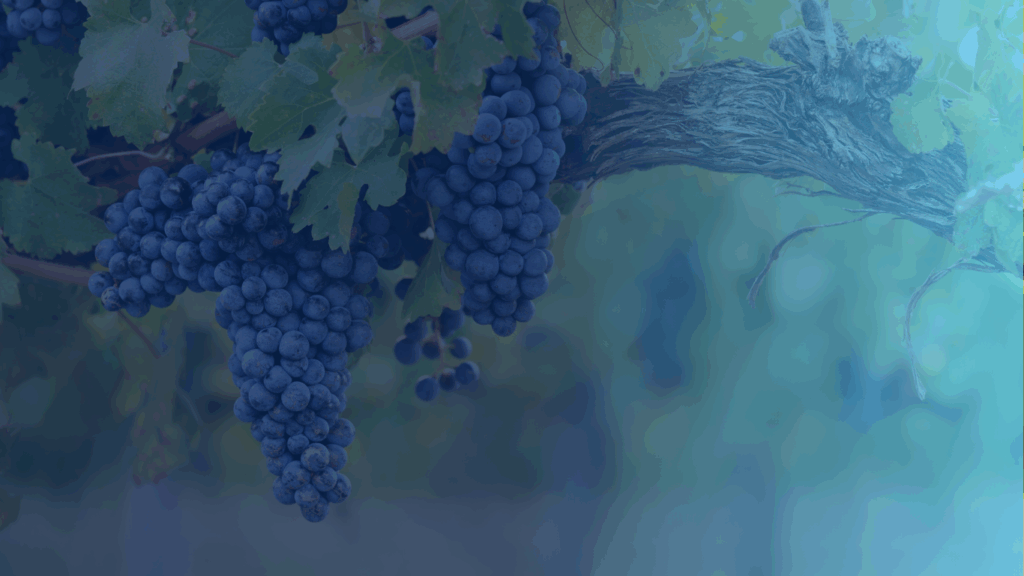 expert comptable agricole